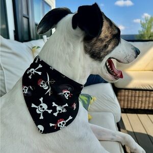 Handmade Black Skull and Crossbones Dog Bandana